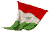 Hungarian Flag